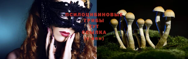 прущая мука Козловка