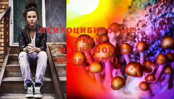 прущая мука Козловка
