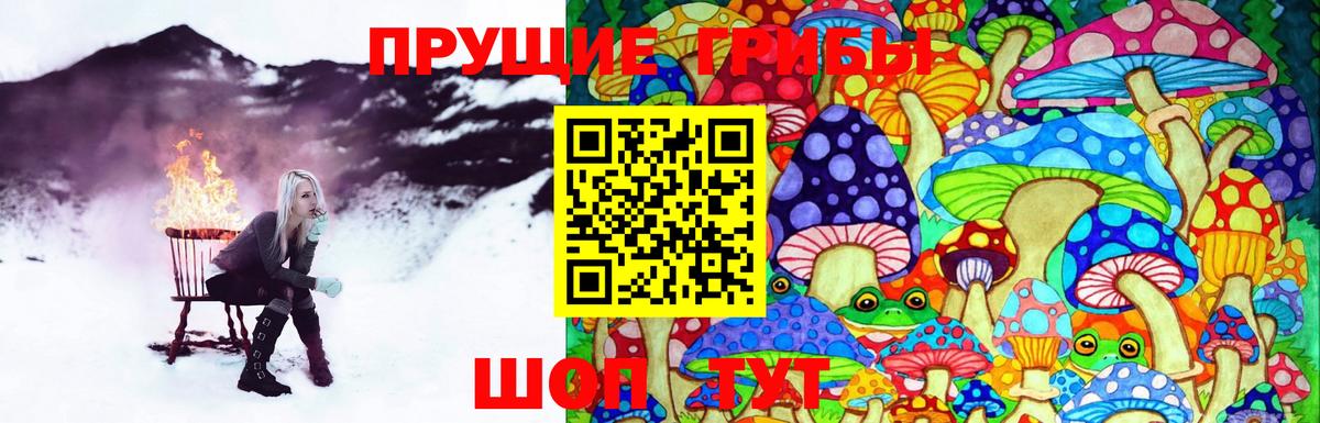 Псилоцибиновые грибы Psilocybine cubensis  Вход с VPN  Чебоксары 